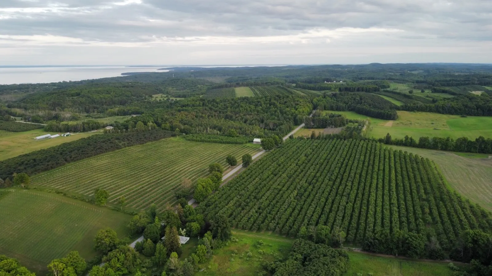 Aerial view of rolling cherry orchards and vineyards stretching toward Grand Traverse Bay on the Leelanau Peninsula
